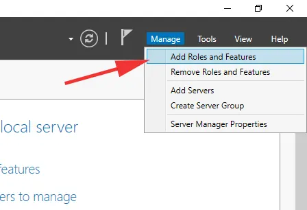 Windows server 2022 enable micro server manager add roles